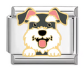 Silver: Schaunzer Dog