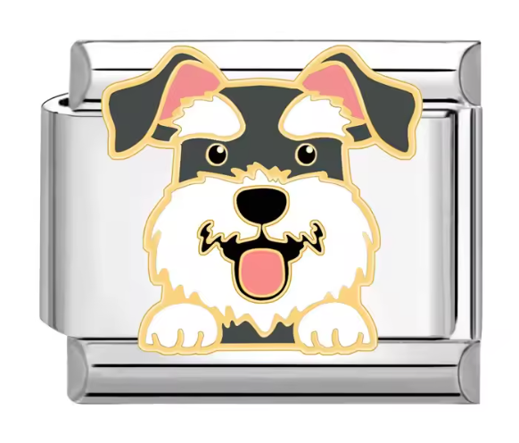 Silver: Schaunzer Dog