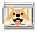 Silver: Corgi Dog