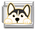 Silver: Husky Dog