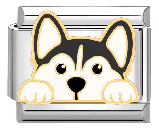 Silver: Husky Dog