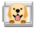 Silver: Golden Retriever