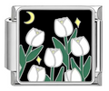 Silver: Black Tulips