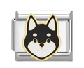 Silver: Pomsky