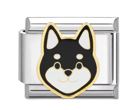 Silver: Pomsky